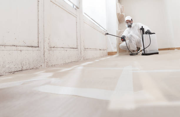 24/7 Emergency Mold Remediation experts in Teutopolis, IL